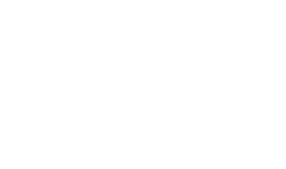 Loomis Performance Insights